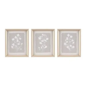 New - 3pc Fair Florets Framed Glass Wall Art Set Beige - Madison Park