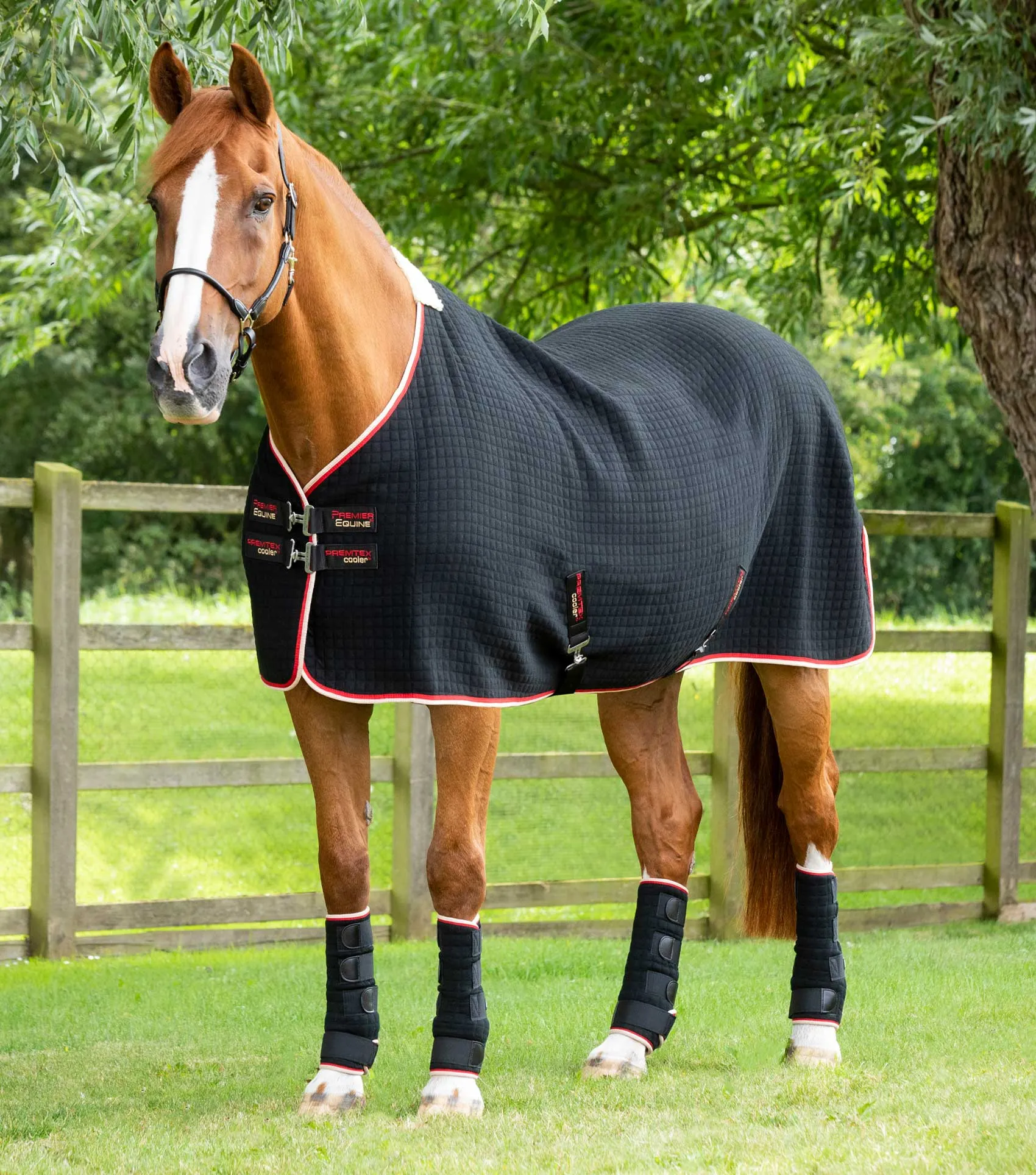 PremTex Horse Cooler Rug Black